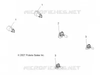 ELECTRICA, BULBS