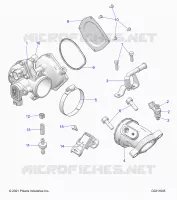 ENGINE, CUERPO DE MARIPOSA AND FUEL RAIL