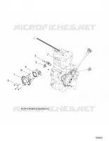 CUERPO DE MARIPOSA AND FUEL RAIL