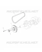 ENGINE, POLEA AND DRIVE BELT