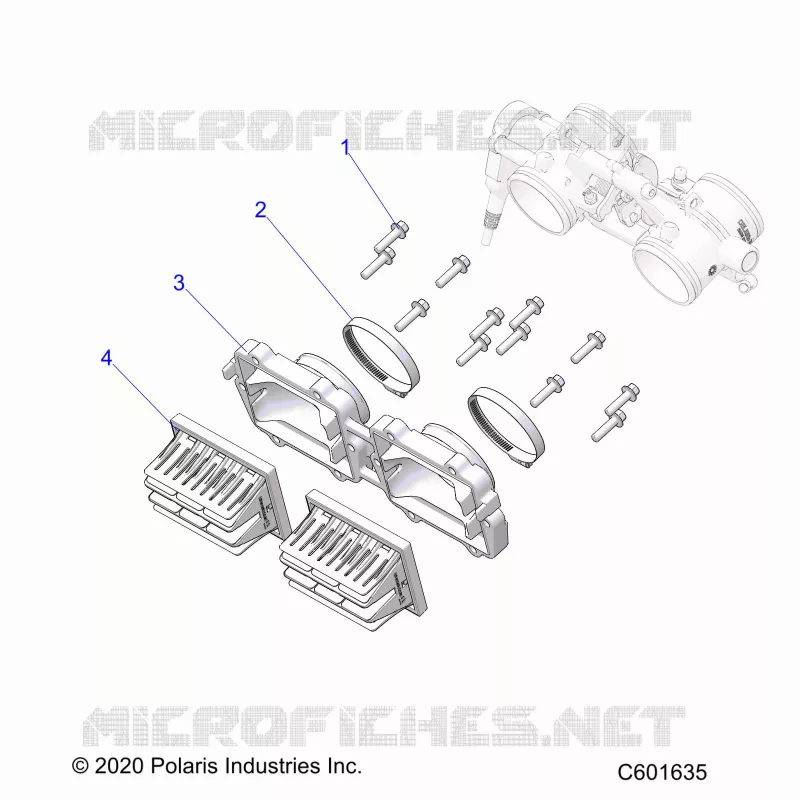 ENGINE, REED VALVE AND CUERPO DE MARIPOSA ADAPTOR