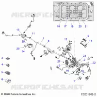 ELECTRICA, HARNESS