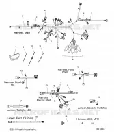 ELECTRICA, WIRE HARNESS
