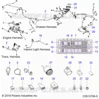 ELECTRICA, WIRE HARNESS