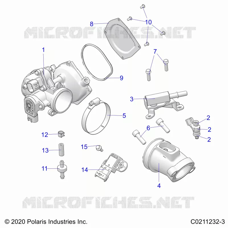 ENGINE, CUERPO DE MARIPOSA AND FUEL RAIL