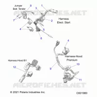 ELECTRICA, WIRE HARNESS, HOOD, ELEC. START