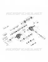 DRIVE TRAIN, PRINCIPAL GEARCASE INTERNALS