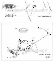 ELECTRICA, HARNESS