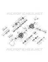 DRIVE TRAIN, PRINCIPAL GEARCASE INTERNALS