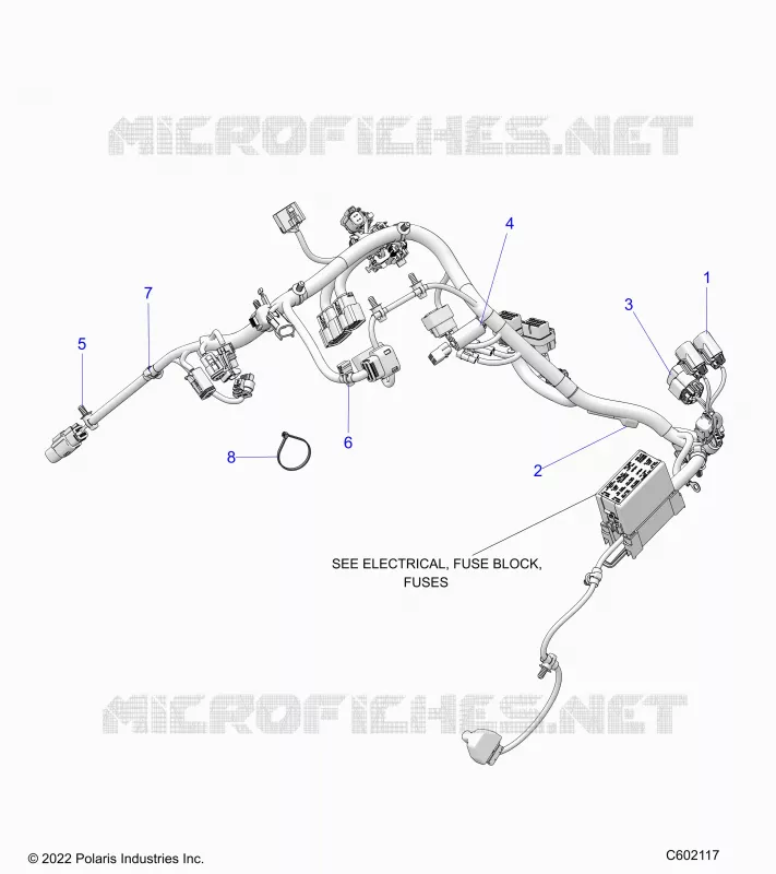 ELECTRICA, WIRE HARNESS, MAIN