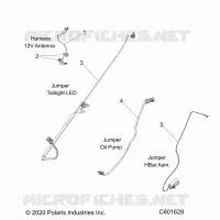 ELECTRICA, JUMPER WIRES