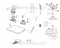 ELECTRICA