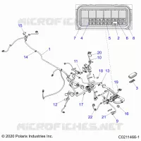 ELECTRICA, HARNESS