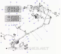 ELECTRICA, WIRE HARNESS, CHASSIS