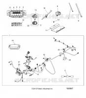 ELECTRICA, HARNESS
