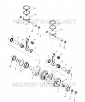 PISTON AND CIGUEÑAL (TRAIL) (4910941094034A)