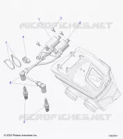ELECTRICA, IGNITION COIL/SPARK PLUGS