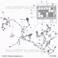 ELECTRICA, WIRE HARNESS