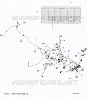 ELECTRICA, HARNESS