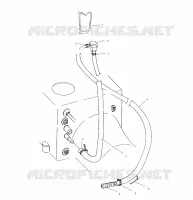 AGUA SIPHON
