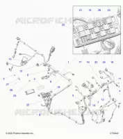 ELECTRICA, WIRE HARNESS