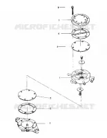 GASOLINA PUMP (600 AND 600 SE) (4909500950051A)