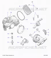 ENGINE, CUERPO DE MARIPOSA AND FUEL RAIL