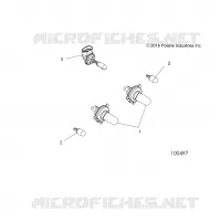 ELECTRICA, BULBS
