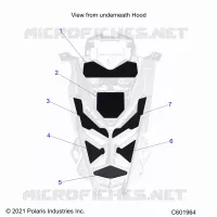 CAPUCHA FOAM/SEAL