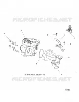 CUERPO DE MARIPOSA AND FUEL RAIL