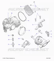 ENGINE, CUERPO DE MARIPOSA AND FUEL RAIL