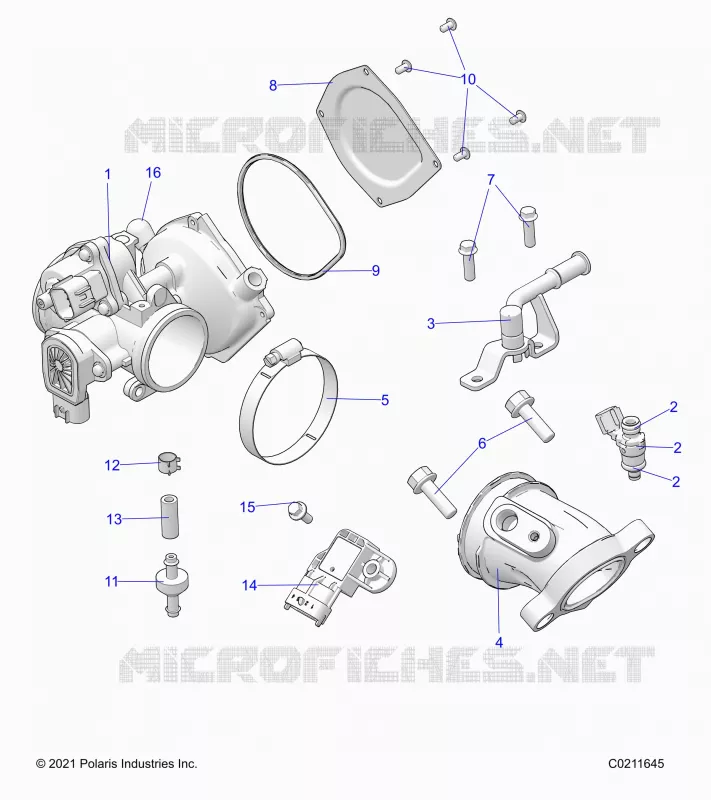 ENGINE, CUERPO DE MARIPOSA AND FUEL RAIL