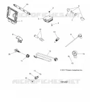 ELECTRICA, SWITCHES, SENSORS, ECU AND CONTROL MODULES