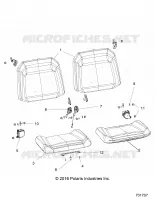 ASIENTO AND BELTS