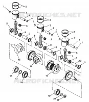 PISTÓN Y CIGÜEÑAL XLT LTD 0973756 AND EUROPEAN XLT LTD E973756 (4937793779C006)