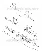 PISTON AND CIGUEÑAL (SS) (4909540954023A)