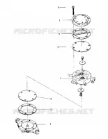 GASOLINA PUMP (600 AND 600 SE) (4909500950051A)