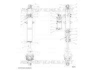 SUSPENSION, CHOQUE FRONTAL INTERNALS