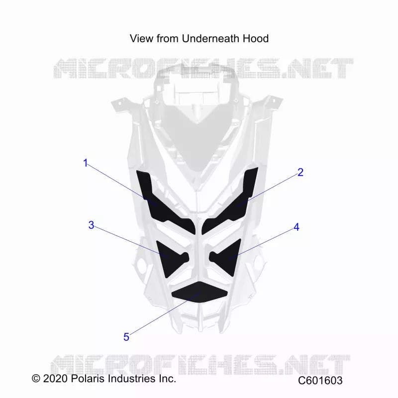 CAPUCHA FOAM/SEAL