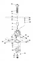 CARBURADOR ASSEMBLY (4918531853039A)