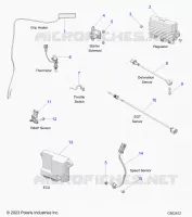 ELECTRICA, COMPONENTS