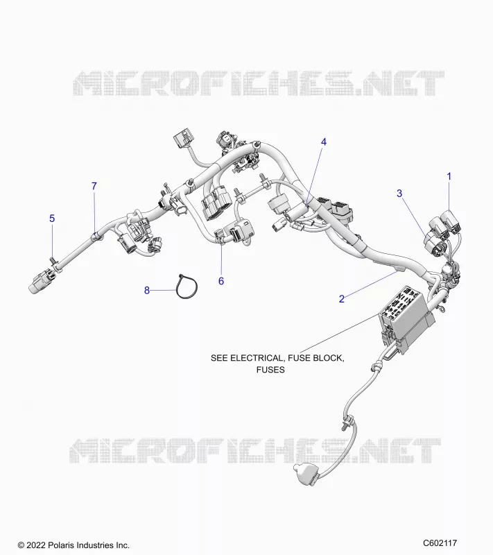 ELECTRICA, WIRE HARNESS, MAIN