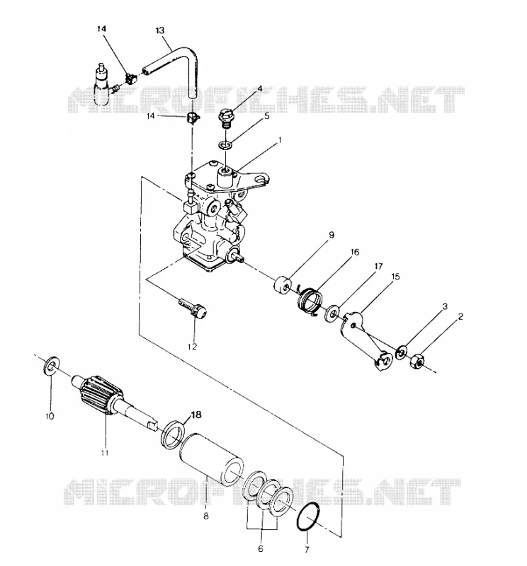 Bomba de aceite 250 4x4 / W928127 (4922872287D001)