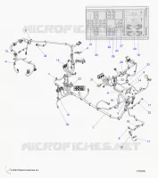 ELECTRICA, WIRE HARNESS