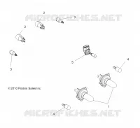 ELECTRICA, BULBS