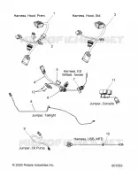 ELECTRICA, JUMPERS/WIRE HARNESS