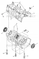 CAJA DEL CIGÜEÑAL