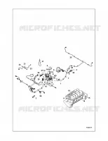 ELECTRICA, HARNESS