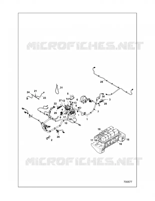 ELECTRICA, HARNESS