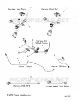ELECTRICA, JUMPERS/WIRE HARNESS